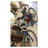 Schwann Coronado Men