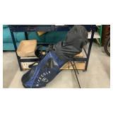Golf clubs and bag with stand