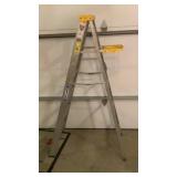 Werner Aluminium Ladder 6