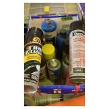 Paint And Bug Killer, Tire Foam