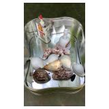 Tin of seashells, shell oil and bell