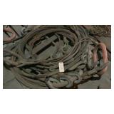 4 legged bridles