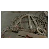 large 4 legged bridle