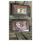 NASCAR collectibles, plaques