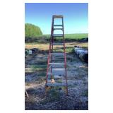 Werner Fibreglass and Aluminium Ladder 8