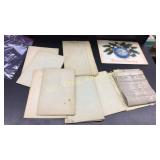 Old Maps, News Paper, Calendar