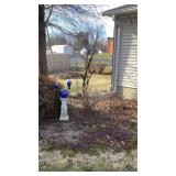 Shepherds Hook, Gazing Ball, Yard Art