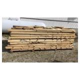 Hackberry 1', 3', 4' 11' Hackberry 1', 3', 4' 11'