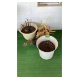 Flower Pots Flower Pots