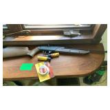 760 Pumpmaster Classic BB Gun