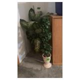 House plant decor