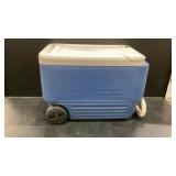 Igloo Cooler