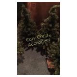 5 Small Christmas Trees