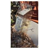 Animal trap. By back deck