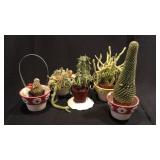 5 Misc Cacti