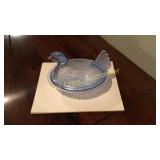 Blue Chicken on Nest
