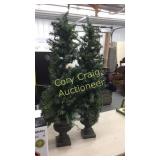 Set of Porch Trees with Lights