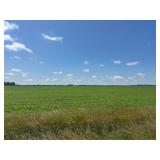 Tract 2 -  80+/- Acres