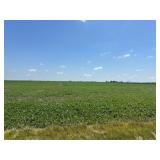 Tract 4 - 20 +/- Acres
