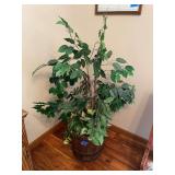 Decorative Ficus Tree in Wooden Barrel