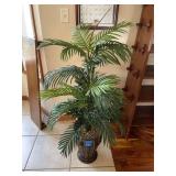 Potted Decorative Palm Plant
