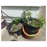 Metal Garden Trellis and Assorted Planters