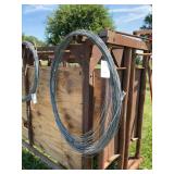 Coil of Galvanized Steel Wire