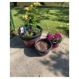 Assorted Planter Pots with Live Flowers and Plants