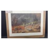 2 deer pictures