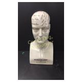 Phrenology Head Bust