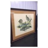 Ruffed Grouse Bonasa Umbellus Plate II