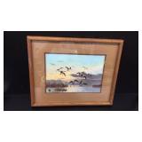 Geese coming in for landing.