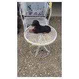 Dog Yard decor 8" tall