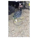 Duck decoy