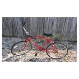 Dynasty 10 speed bike