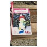 Light-Up prismatic penguin