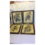 (4) Bird Prints 
Blue Jay, Canada Jay, Cat Bird,