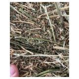 (25) small square bales of alfalfa/grass mix hay