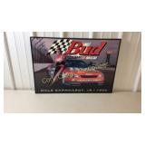 Dale Earnhardt jr 1999 racing picture