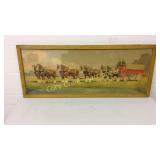 BUDWEISER International Champion Clydesdale