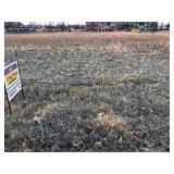 Tract 5: Lot 7 (corner lot) 140’x140’, 120 D.