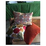 3 pillows, From Pier One, Like New!
