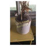 #5 Stone Ware Jug