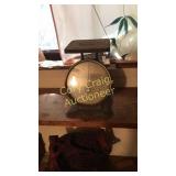 Prudential Family Scale