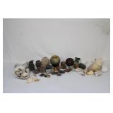 Rock & Shell Collection