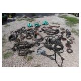 Horse Collar, Harness, Reins