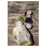Petrified Wood & Rocks