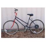 Kent Terra Maximum Terrain 10 Speed