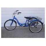Schwinn Meridian 3-Wheel Bike