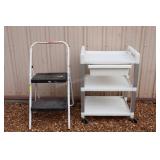 Plastic Rolling Cart & Step Ladder